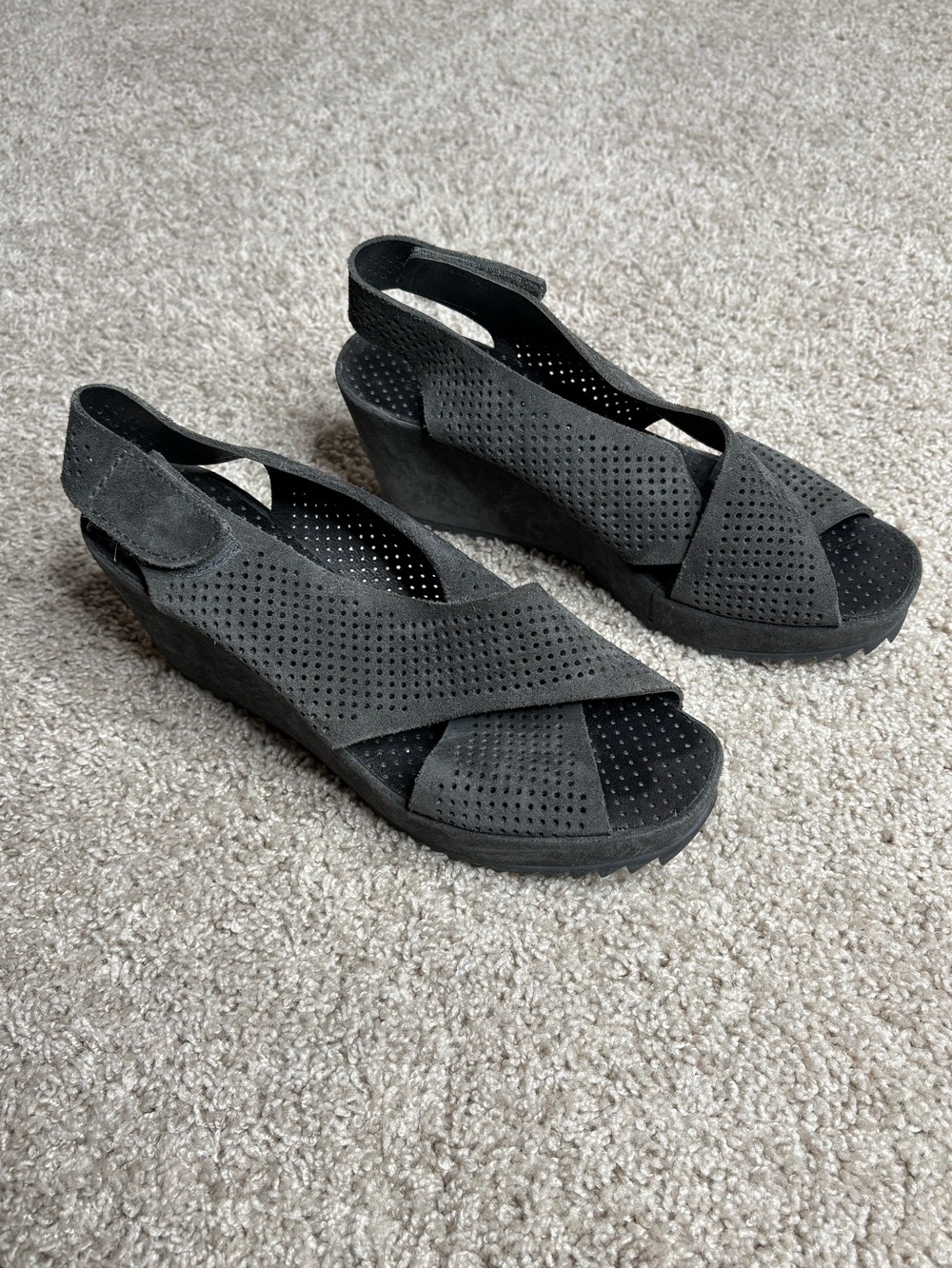 Pedro Garcia Suede Wedges